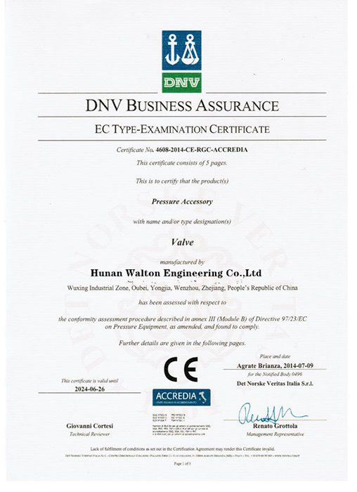 CE/PED Certificate
